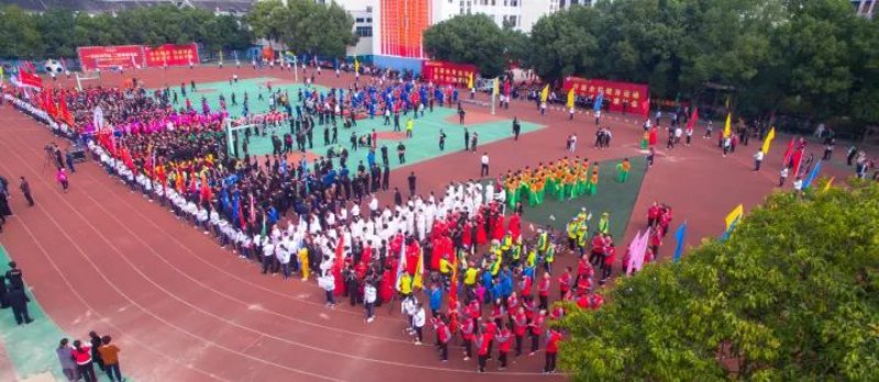如何为体育培训机构申请合适的营业执照经营范围？这是一篇针对体育培训机构在申请营业执照时，应如何准确填写经营范围的教程指南。